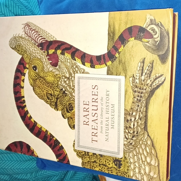 Other - Prints Suitable For Framing From the Natural History Museum